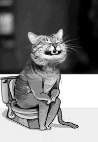 Украина получит газ из биоэнергетического сырья