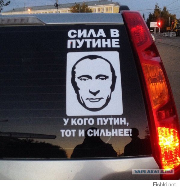 Электоральный рейтинг Путина, за две недели февраля достиг 74% 
