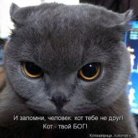 Зима близко