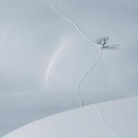 пописать сходил