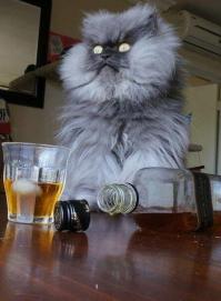 народ ктото вкурсе породы этого демонического кота?)))