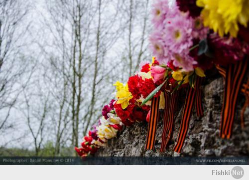 в нарве тоже не могли не вспомнить об этом замечательном дне. + ещё горожане сделали небольшую реставрацию памятника "Танк". теперь там красота)