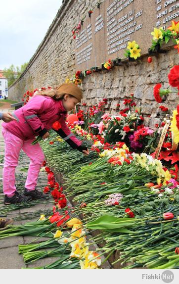 в нарве тоже не могли не вспомнить об этом замечательном дне. + ещё горожане сделали небольшую реставрацию памятника "Танк". теперь там красота)