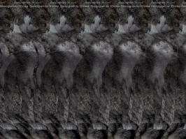 Стереокартинки 