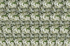 Стереокартинки 