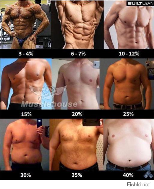 если бы у меня было 10% жирности как в магазинной сметане, то я был бы счастлив