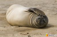 Я только что встала.. у меня ооочень фиговое утро... зато вчера было весело...