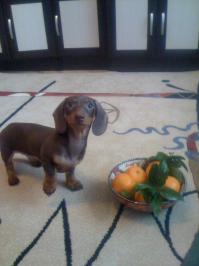 Первый Новый Год