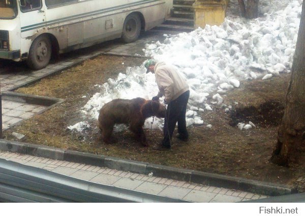 Так и русские с медведями не прогуливаются - если на то пошло...