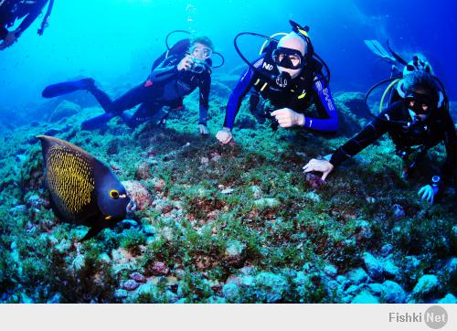 Написано ж  - для ДАЙВЕРОВ  рай. а не для всех подряд.