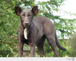 Люди, которые похожи на знаменитостей