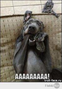 Мастера фотошопа из социальных сетей