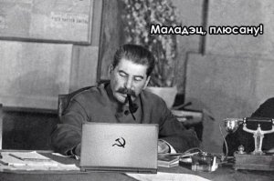 Сару вместо Ангелы!