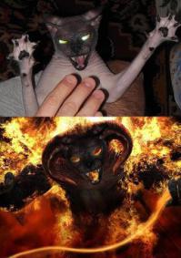 Это здорово , конечно. Но ... постояльцы бывают разные