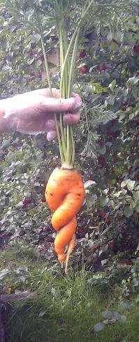 Овощи с раздвоением личности