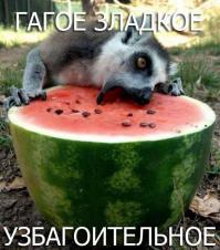 Вкусные и полезные арбузы сочные