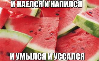 Удивительные факты об арбузе