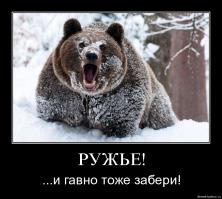 Песня Джастина Бибера спасла рыбака от медведя