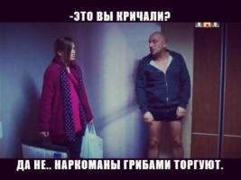 Подберезовик