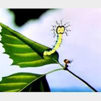 Мягкотелки узасные и опасные,......