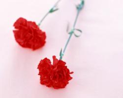 Скончался Донатас Банионис