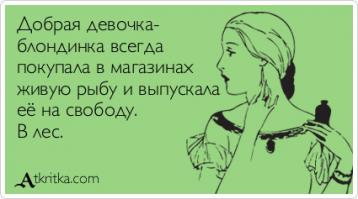 Мышки