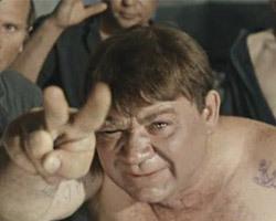 Как успокоить кота за 3 секунды