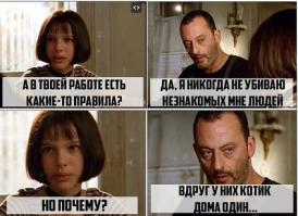 Смешные кошки и котята