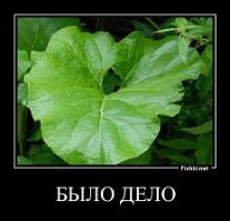 ИНТЕРЕСНЫЕ ФАКТЫ О ПРОСТЫХ ВЕЩАХ.