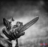 Женщины из племени мурси