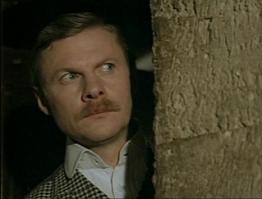 Животные, которые тоже принимают участие в Хэллоуине