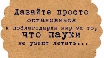 Самка паука-волка шокировала британцев
