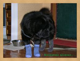 Лучшие зимние КотоЛуки!