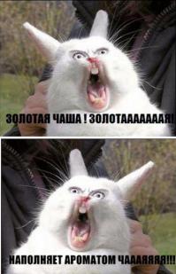 Поющий попугай