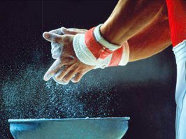 Кошка и шиншилла веселая семья!