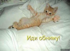 Вопрос: что это?