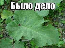 Жуткие факты из прошлого