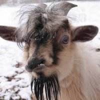 Поразительное сходство!