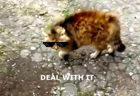 Один против шестерых ..и победил! Супер!