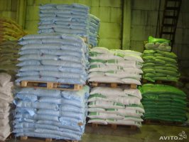 В нынешнее время хранить крупы надо так!