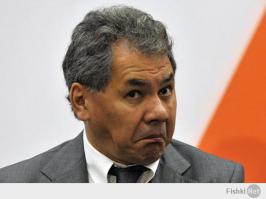 В любой сфере должны быть профессионалы 