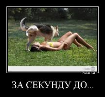 За секунду до...