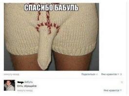 Бабуля приехала