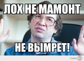 Развели аферистов