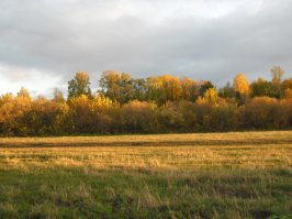 Поездка в горы, за осенью