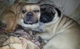 у меня тоже так же залипают