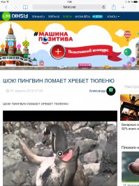 Вижу вебмастер тоже решил приколоться (или с перепою он это сделал?)