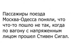 Стивен Сигал: интересные факты из жизни 