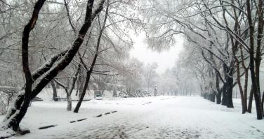 Памятник Денису Давыдову, утро Владивосток. Фотал на патефон, на бегу.