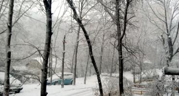 Вышел, возвращаться не стал, фотал на телефон.